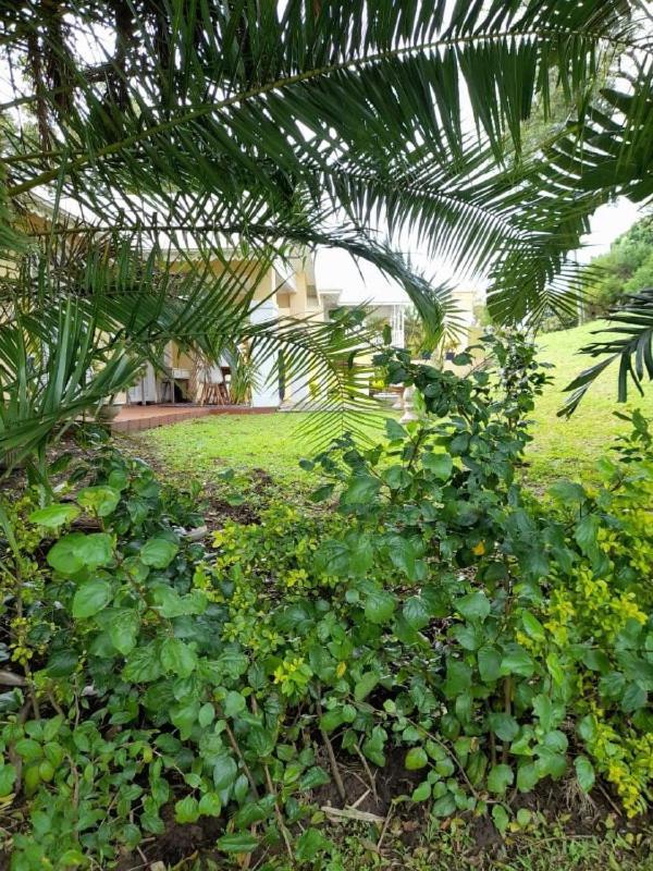 19 MONTEGO BAY CARIBBEAN Estate Port Edward Exterior foto